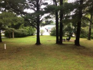 Gray Lakeshore Cottage lawn and view of lake.