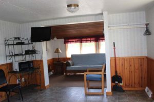 Lakeview Cottage 3 living room futon, kitchen microwave.